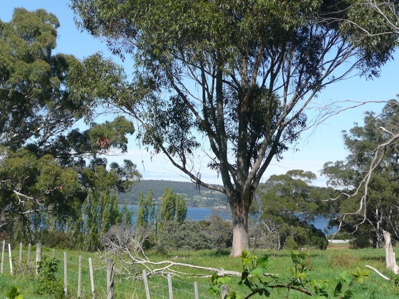 Lot 7,  Ridge Street, Hillwood TAS 7252