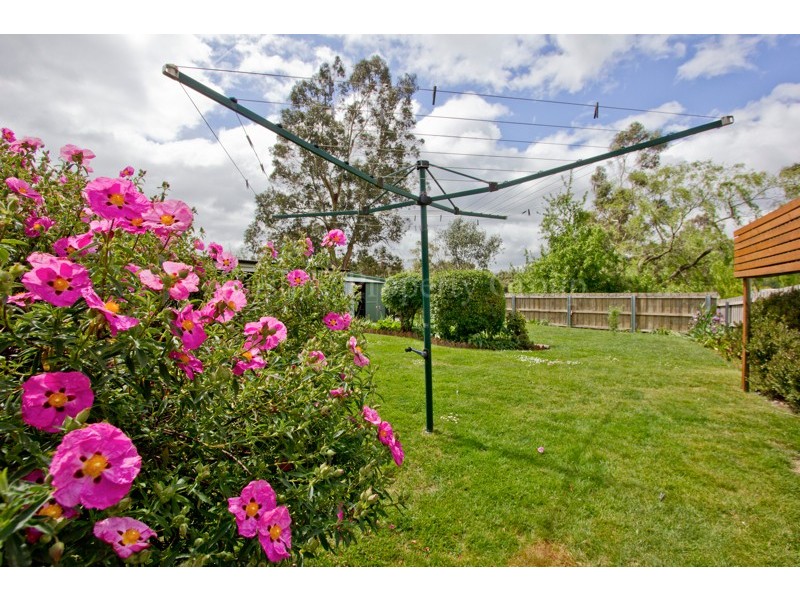 54 Oswald Street, Invermay TAS 7248