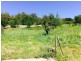 369 Rosevears Drive, Lanena TAS 7275