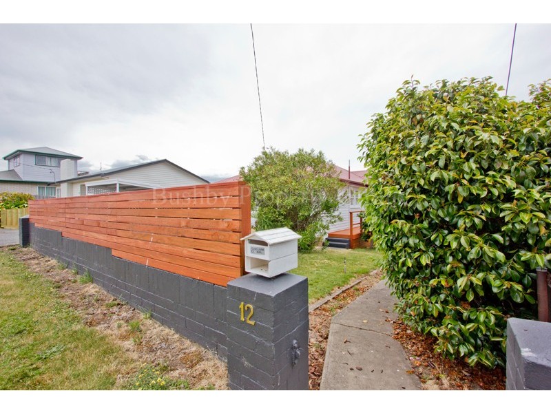 12 Betsy Street, Mowbray TAS 7248