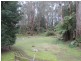 951 Mount Barrow Rd, Nunamara TAS 7259