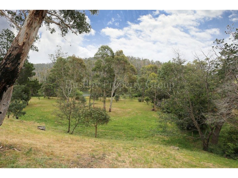 39 South Esk Drive, Hadspen TAS 7290