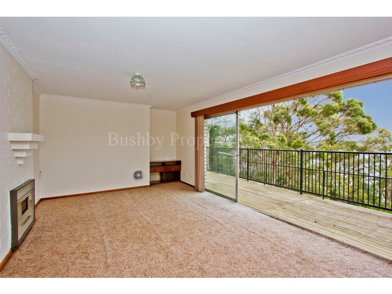 50 Tamar Avenue, George Town TAS 7253