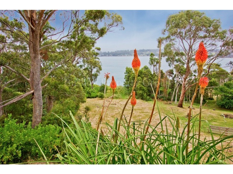 50 Tamar Avenue, George Town TAS 7253