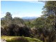 951 Mount Barrow Road, Nunamara TAS 7259