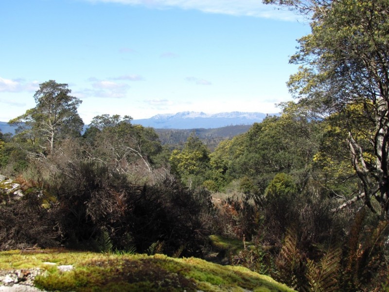951 Mount Barrow Road, Nunamara TAS 7259