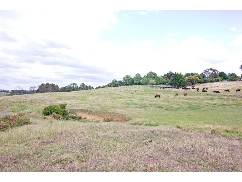 287 Penquite Road, Norwood TAS 7250