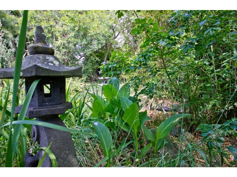 287 Penquite Road, Norwood TAS 7250