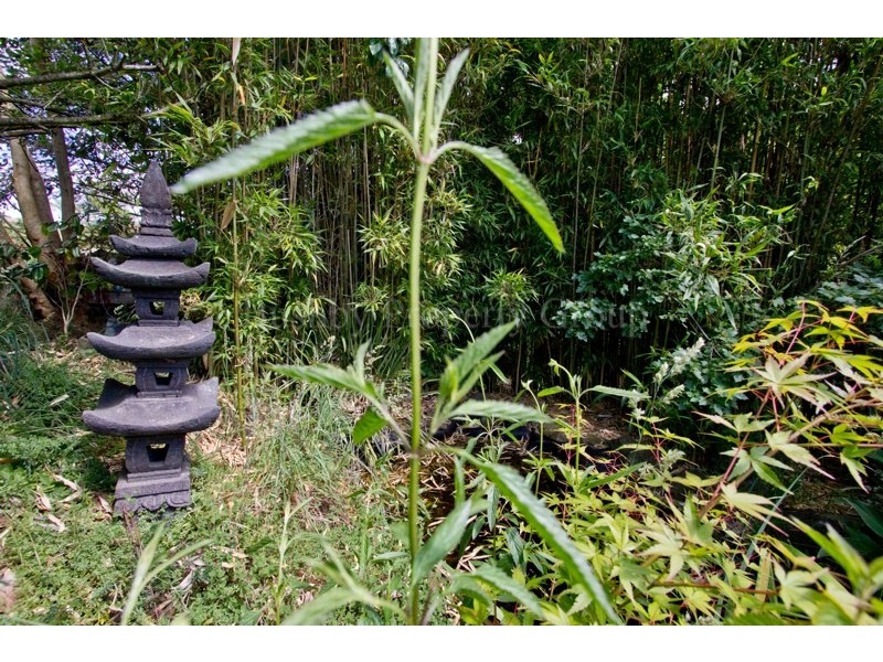 287 Penquite Road, Norwood TAS 7250