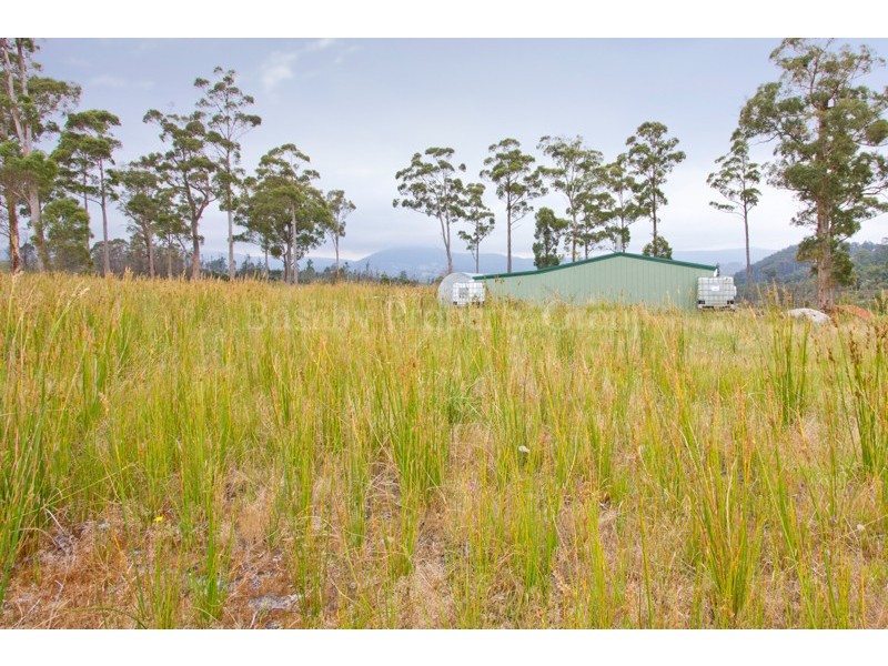 Lot 3, Paling Track, Bangor TAS 7267