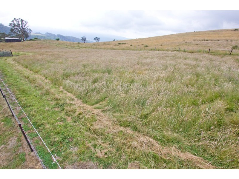 91 Bacala Road, Lilydale TAS 7268