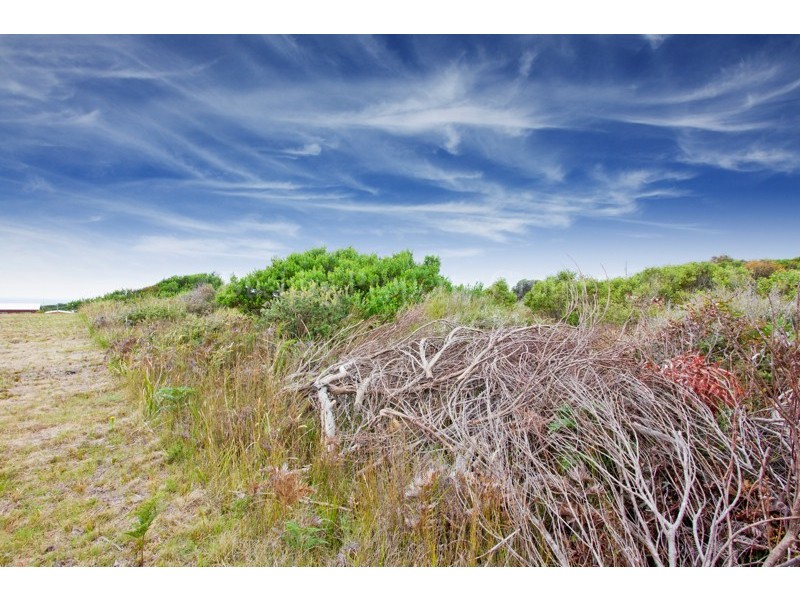 103 Bell Buoy Beach Road, Low Head TAS 7253