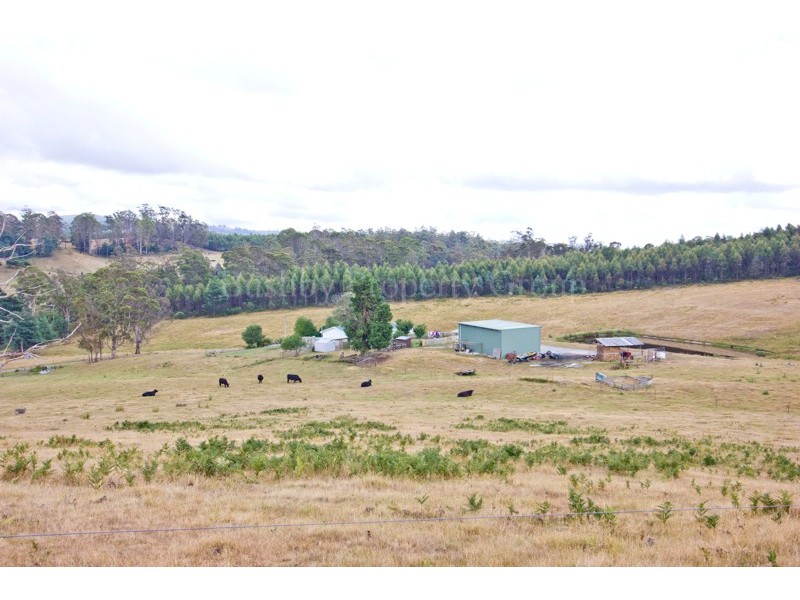 77 Hoods Road, Glengarry TAS 7275