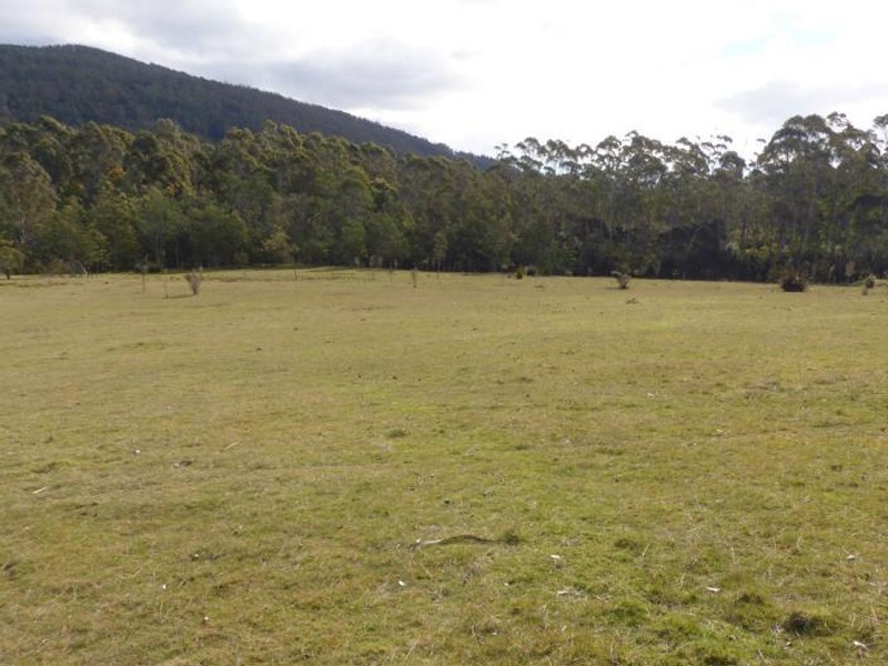 1751 Birralee Road, Birralee TAS 7303
