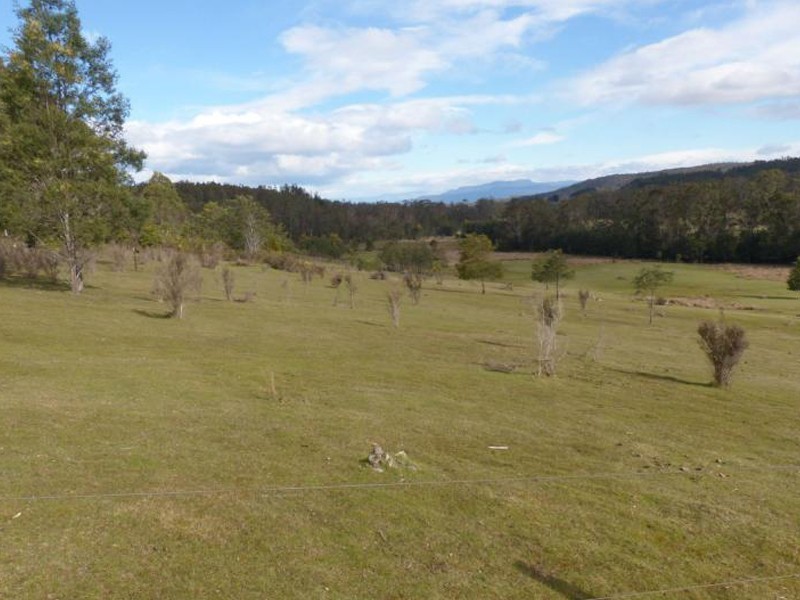 1751 Birralee Road, Birralee TAS 7303