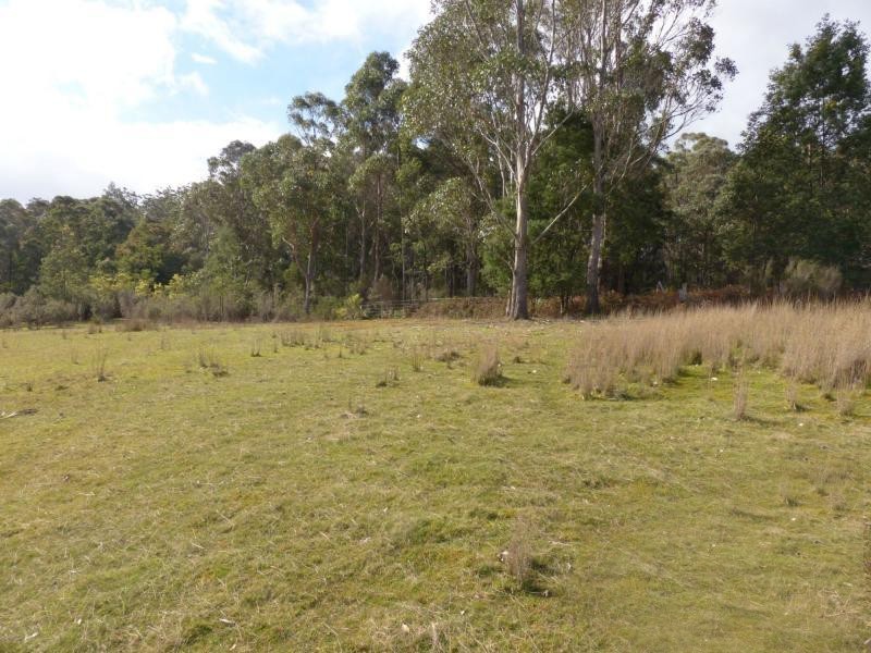 1751 Birralee Road, Birralee TAS 7303