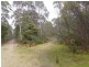 1751 Birralee Road, Birralee TAS 7303