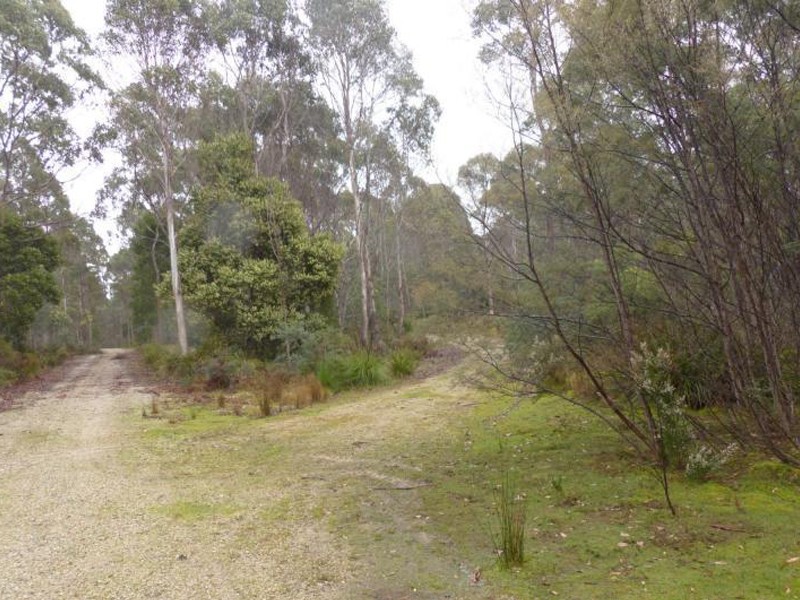 1751 Birralee Road, Birralee TAS 7303