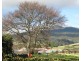 35 Station Road, Lilydale TAS 7268