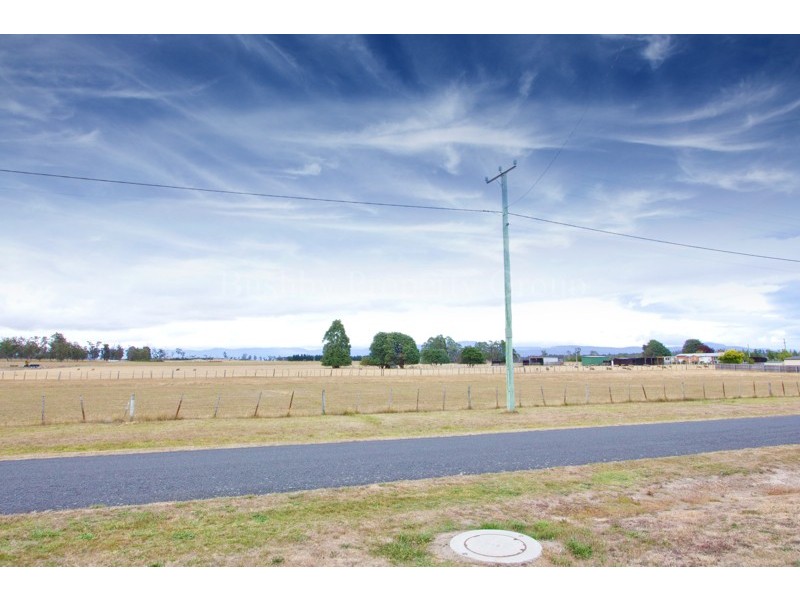 29b Percy Street, Carrick TAS 7291