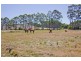 2598 Frankford Road, Frankford TAS 7275