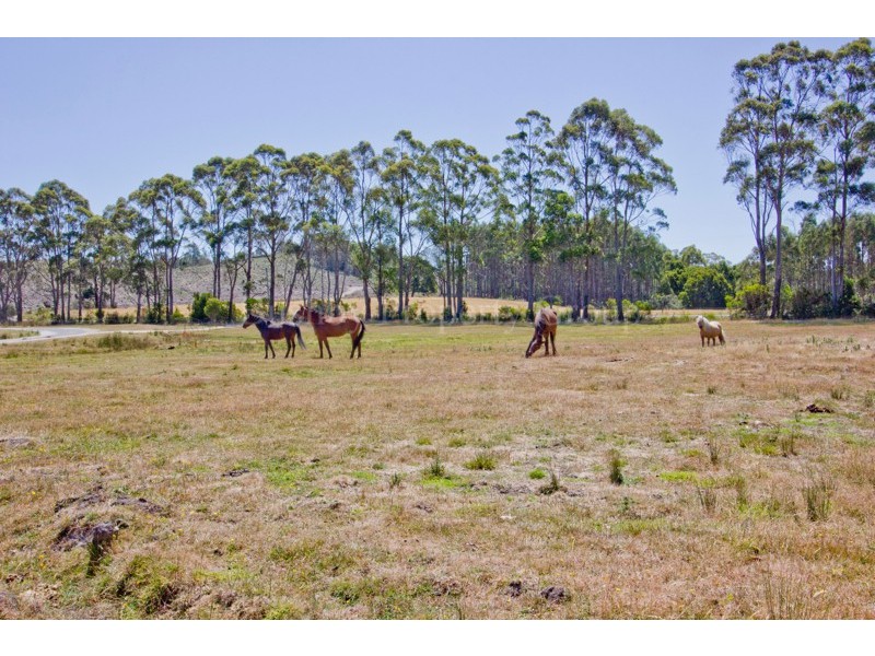 2598 Frankford Road, Frankford TAS 7275