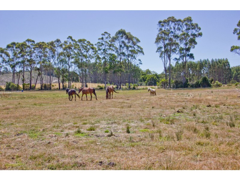 2598 Frankford Road, Frankford TAS 7275