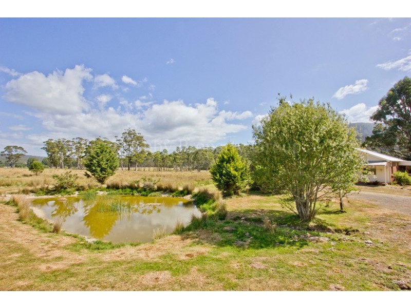149 Mount Arthur Road, Patersonia TAS 7259