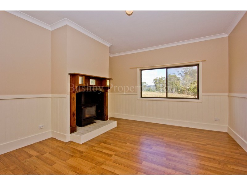 149 Mount Arthur Road, Patersonia TAS 7259