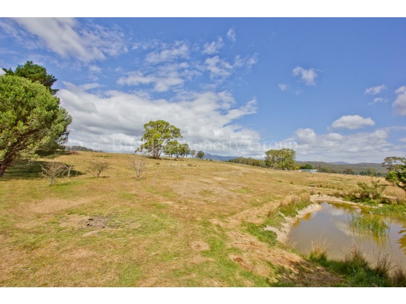 149 Mount Arthur Road, Patersonia TAS 7259