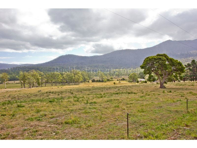 149 Mount Arthur Road, Patersonia TAS 7259