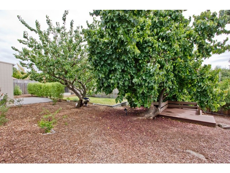 1 Bensemann Court, Trevallyn TAS 7250