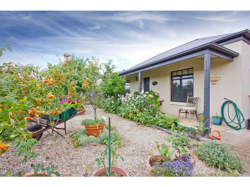 111 Dexter Street, Westbury TAS 7303