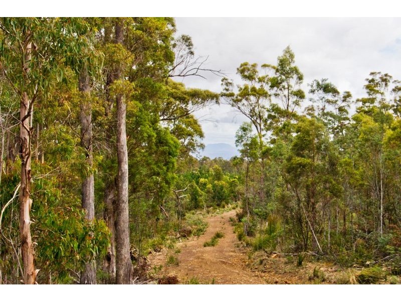 Lot 4351 Ecclestone Rd, Launceston, Tasmania, Riverside TAS 7250