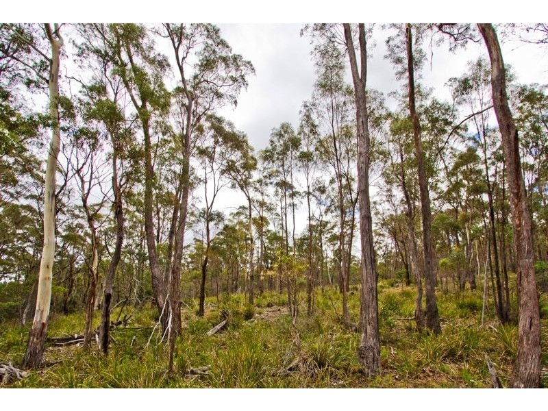 Lot 4351 Ecclestone Rd, Launceston, Tasmania, Riverside TAS 7250