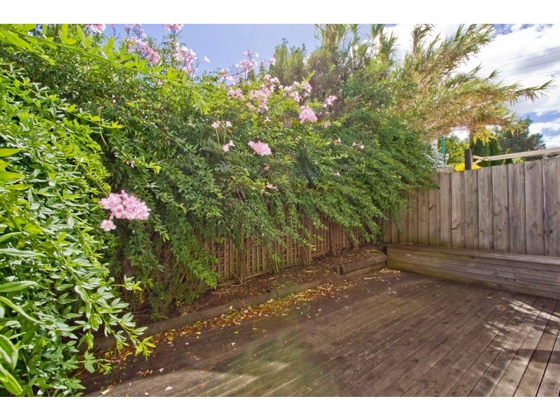 3/234 St John Street, Launceston TAS 7250