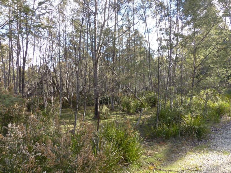 1751 Birralee Road., Birralee TAS 7303
