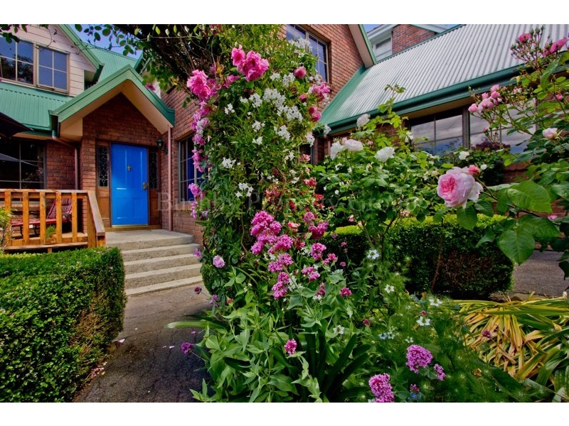 5 Alfred Street, West Launceston TAS 7250