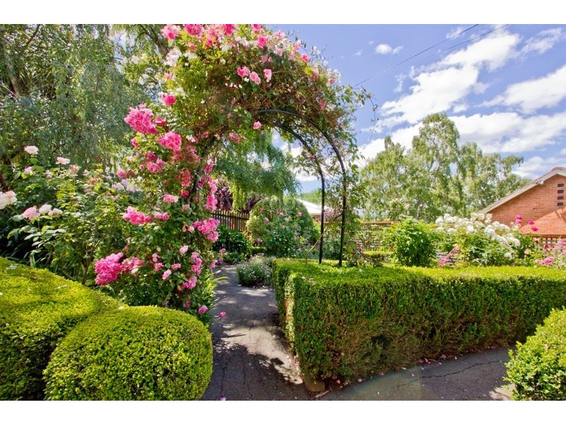 5 Alfred Street, West Launceston TAS 7250