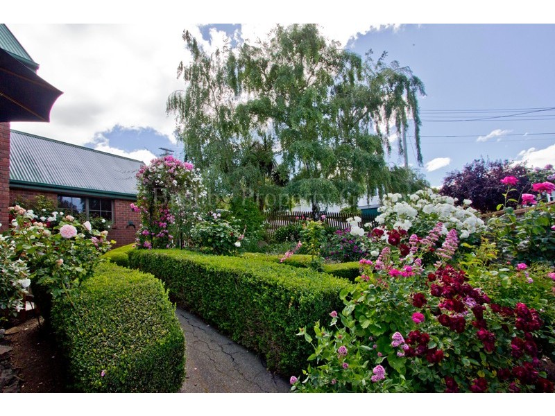 5 Alfred Street, West Launceston TAS 7250