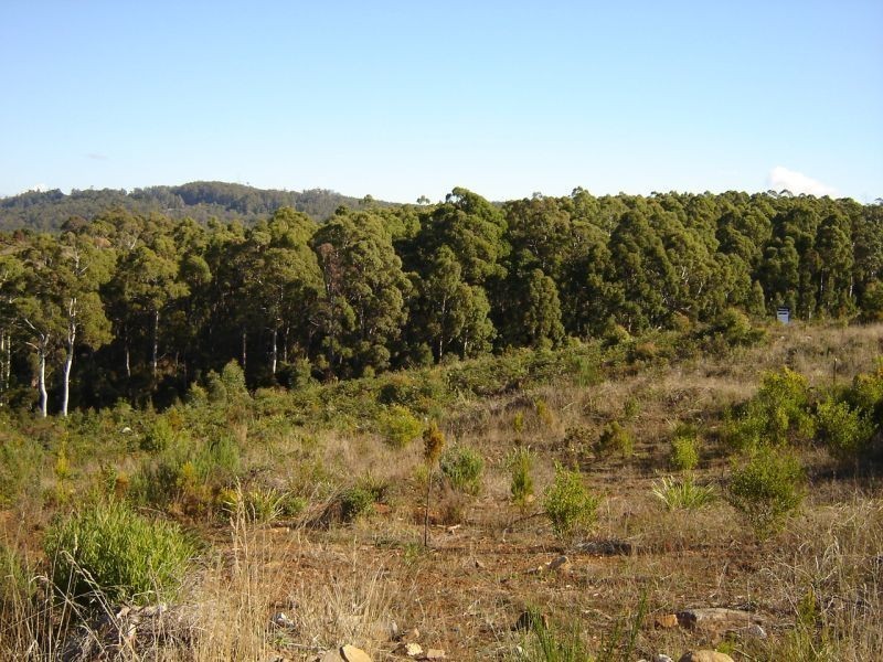 57a Berrigan Road, Miandetta TAS 7310