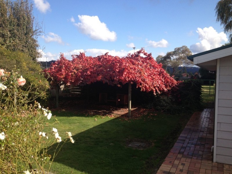 432 Westbury Road, Prospect TAS 7250