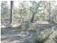Lot 1, PID6832094 Honeysuckle Road, Tooms Lake TAS 7209