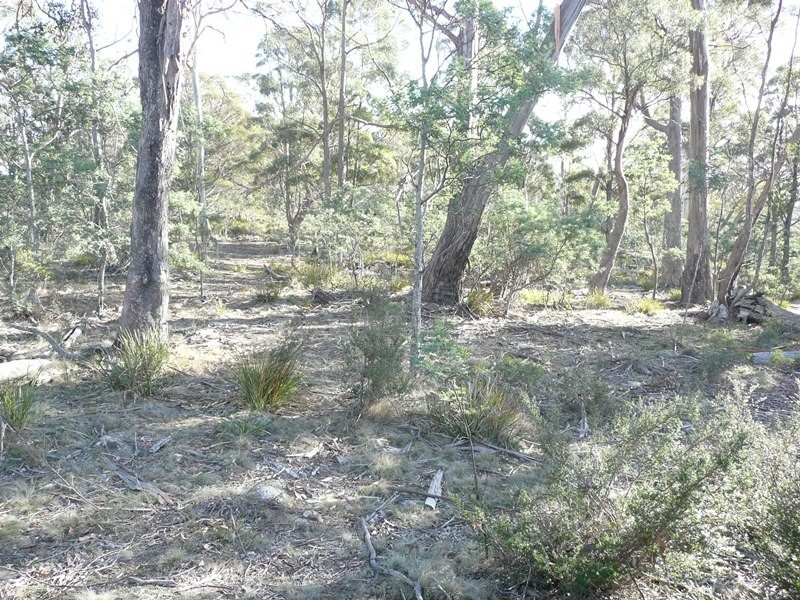 Lot 1, PID6832094 Honeysuckle Road, Tooms Lake TAS 7209