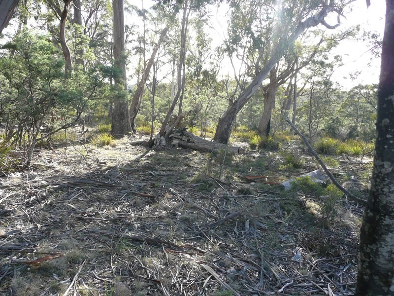 Lot 1, PID6832094 Honeysuckle Road, Tooms Lake TAS 7209