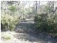Lot 1, PID6832094 Honeysuckle Road, Tooms Lake TAS 7209