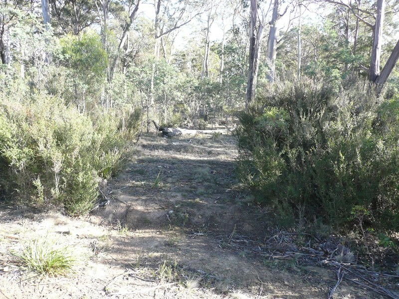 Lot 1, PID6832094 Honeysuckle Road, Tooms Lake TAS 7209