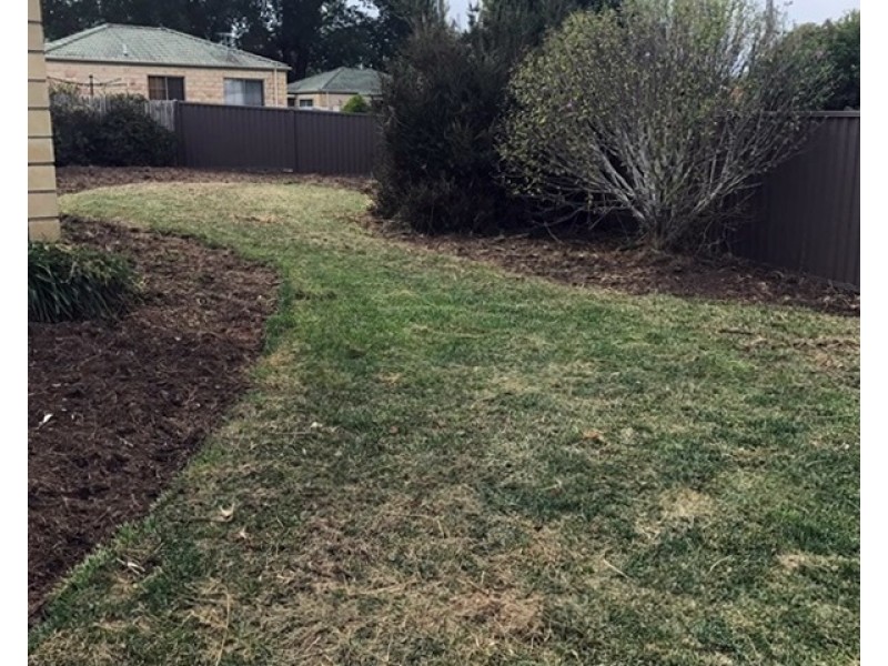 2 Patricia Place, Newnham TAS 7248