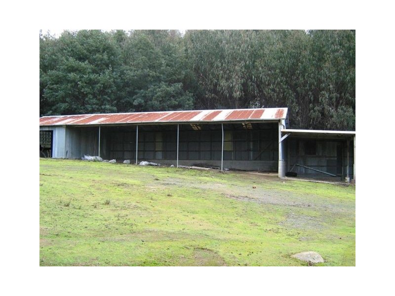 256 Pyengana Road, Pyengana TAS 7216