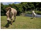 243 Lalla Road, Lalla TAS 7267
